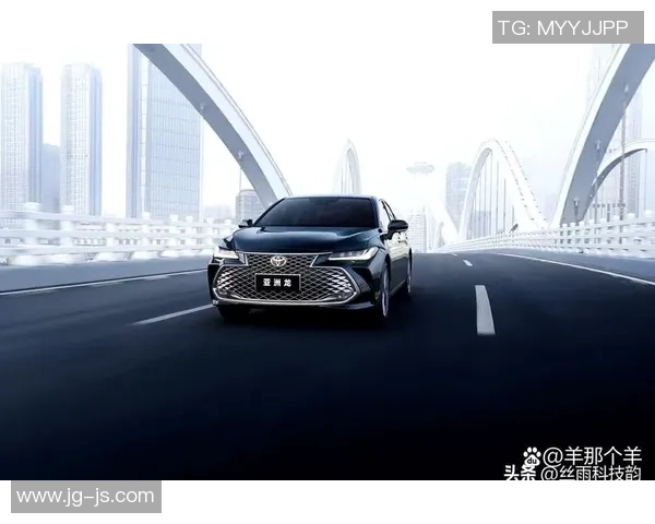 深圳排球队以56分领跑洲际杯积分榜展现强劲实力