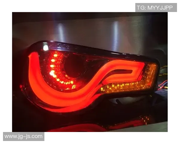 上海乒乓球队以87分领跑洲际杯积分榜展现强大实力